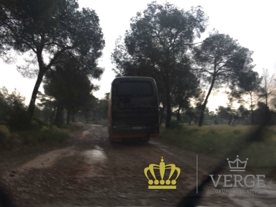 Campamento animación